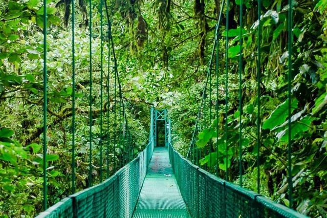 Manakin Lodge Монте-Верде Экстерьер фото